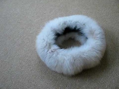 Blaufuchs Stirnband Bluefox Stulpen