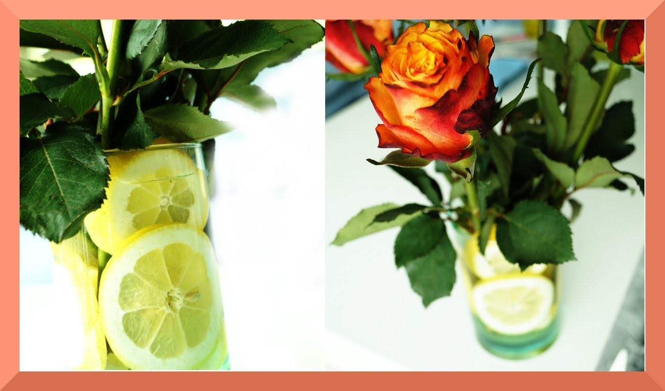 Zitronen Dekoration in der Vase mit Rosen