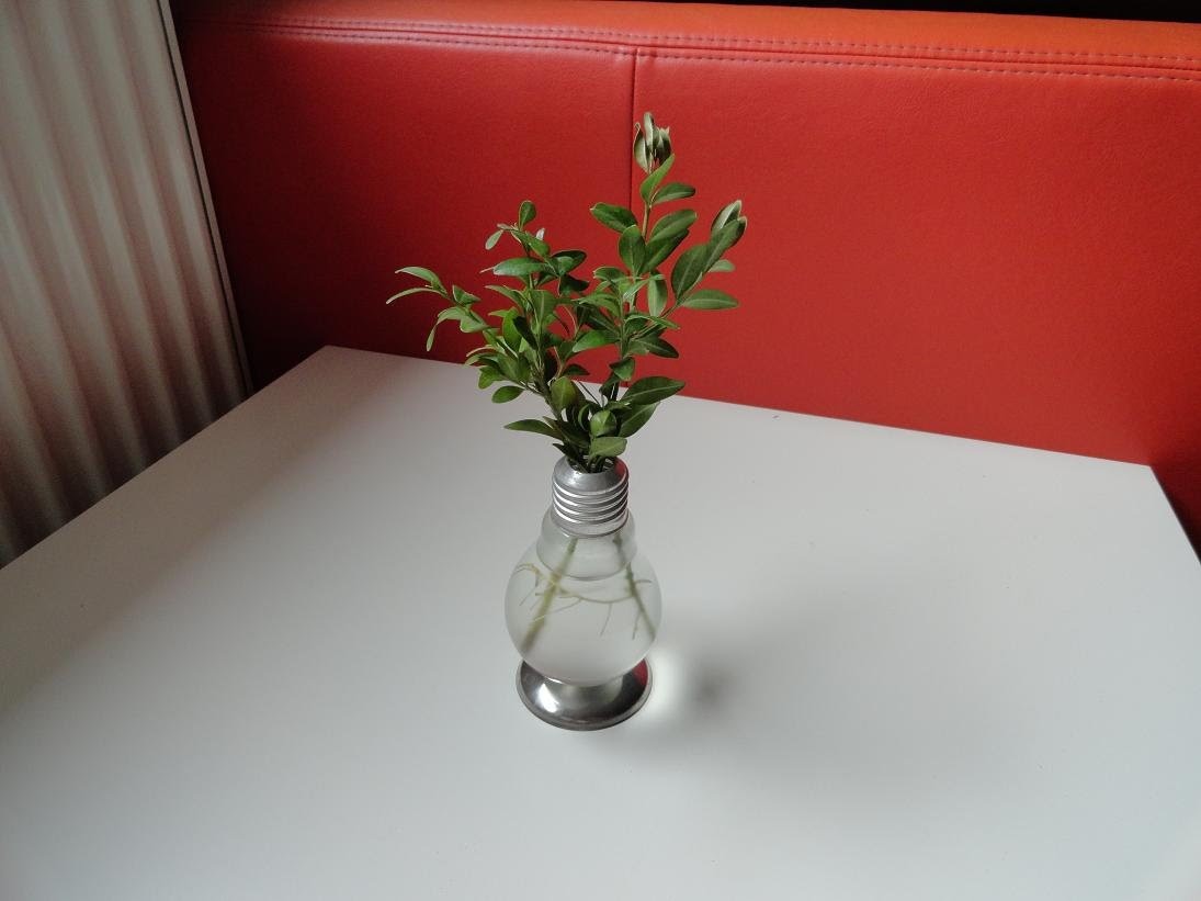 Upcycling: Aus einer alten Glühbirne wird eine schöne Vase - DIY Vase