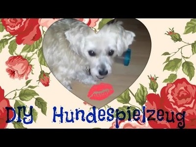 DIY Hundespielzeug