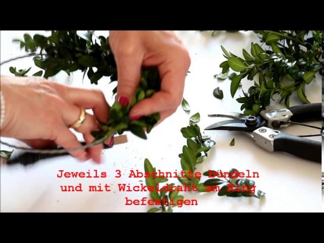 DIY-Tutorial  Buchbaumkranz selber binden