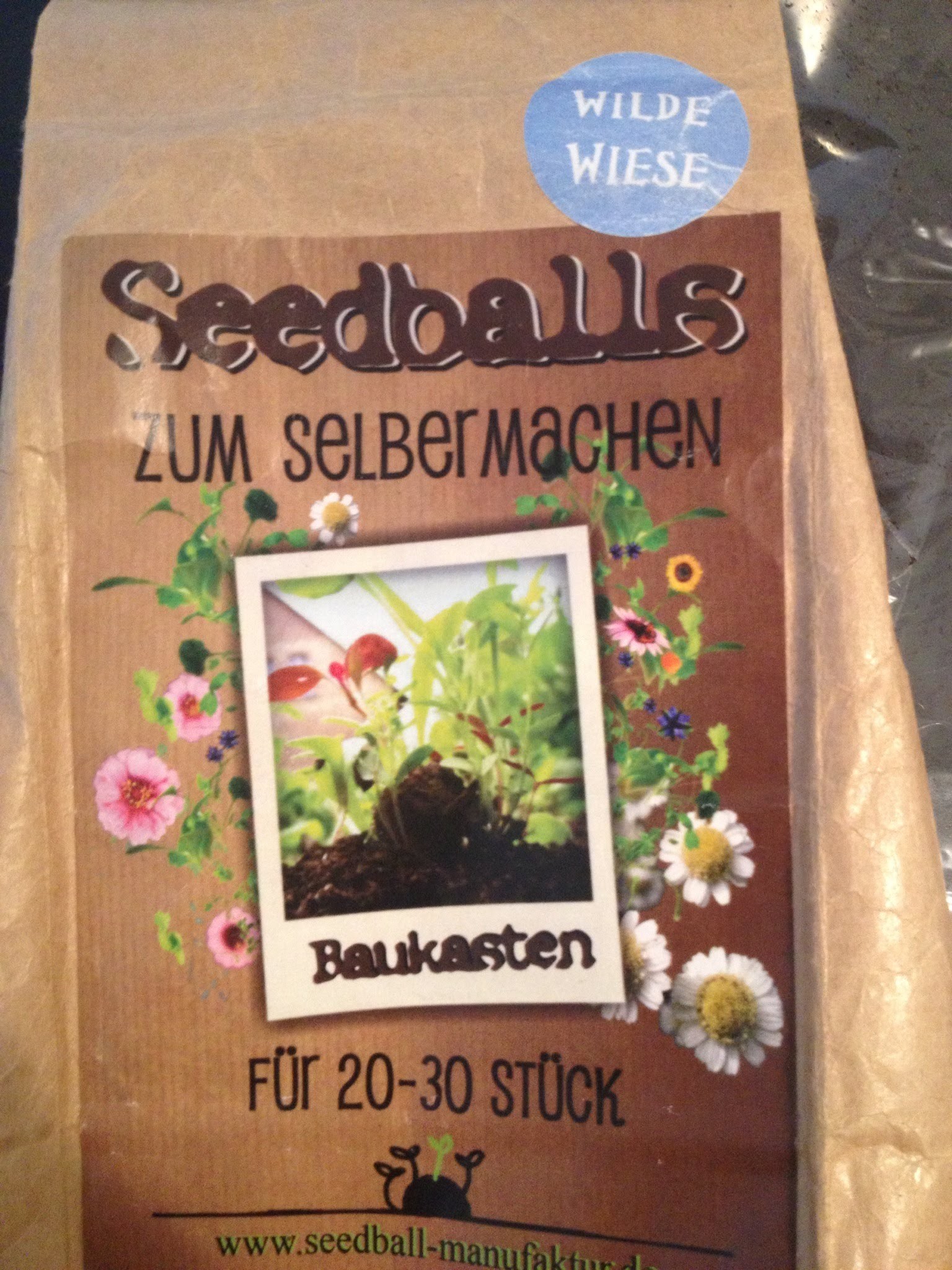 Seedballs DIY