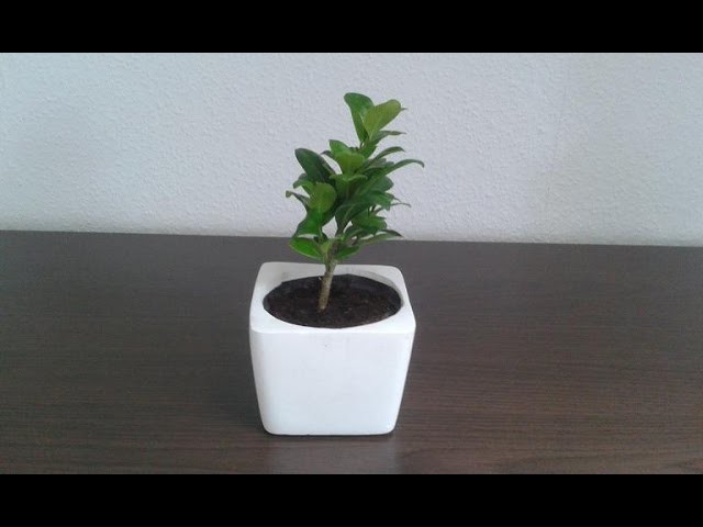 DIY Vase aus Beton selber gießen - Anleitung. Tutorial