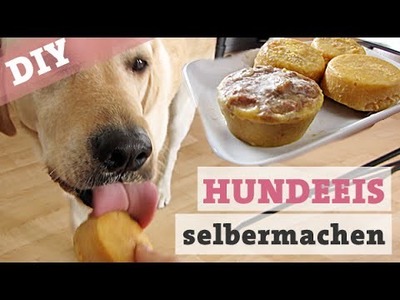DIY Hundeeis mit Leber & Pfirsich – Eis für den Hund selber machen