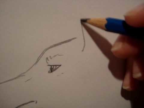 Wie ich einen Wolf zeichne (comic style)