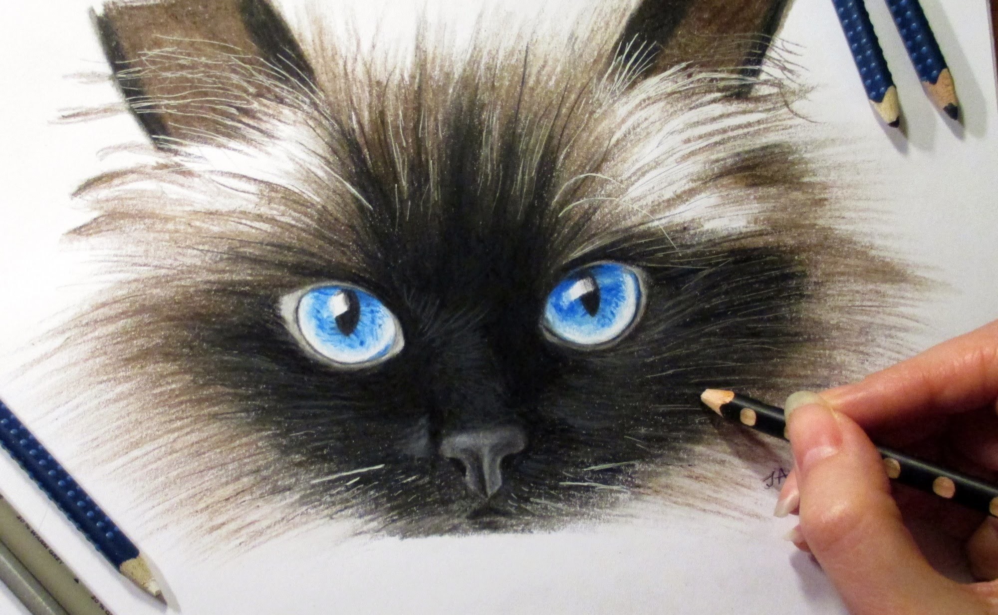 Drawing Cat's face in colored pencil ► How to draw a cat cómo dibujar un gato