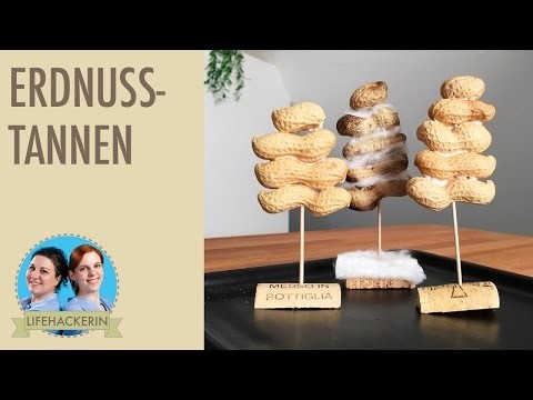 Erdnuss-Bäumchen (Winter-DIY)