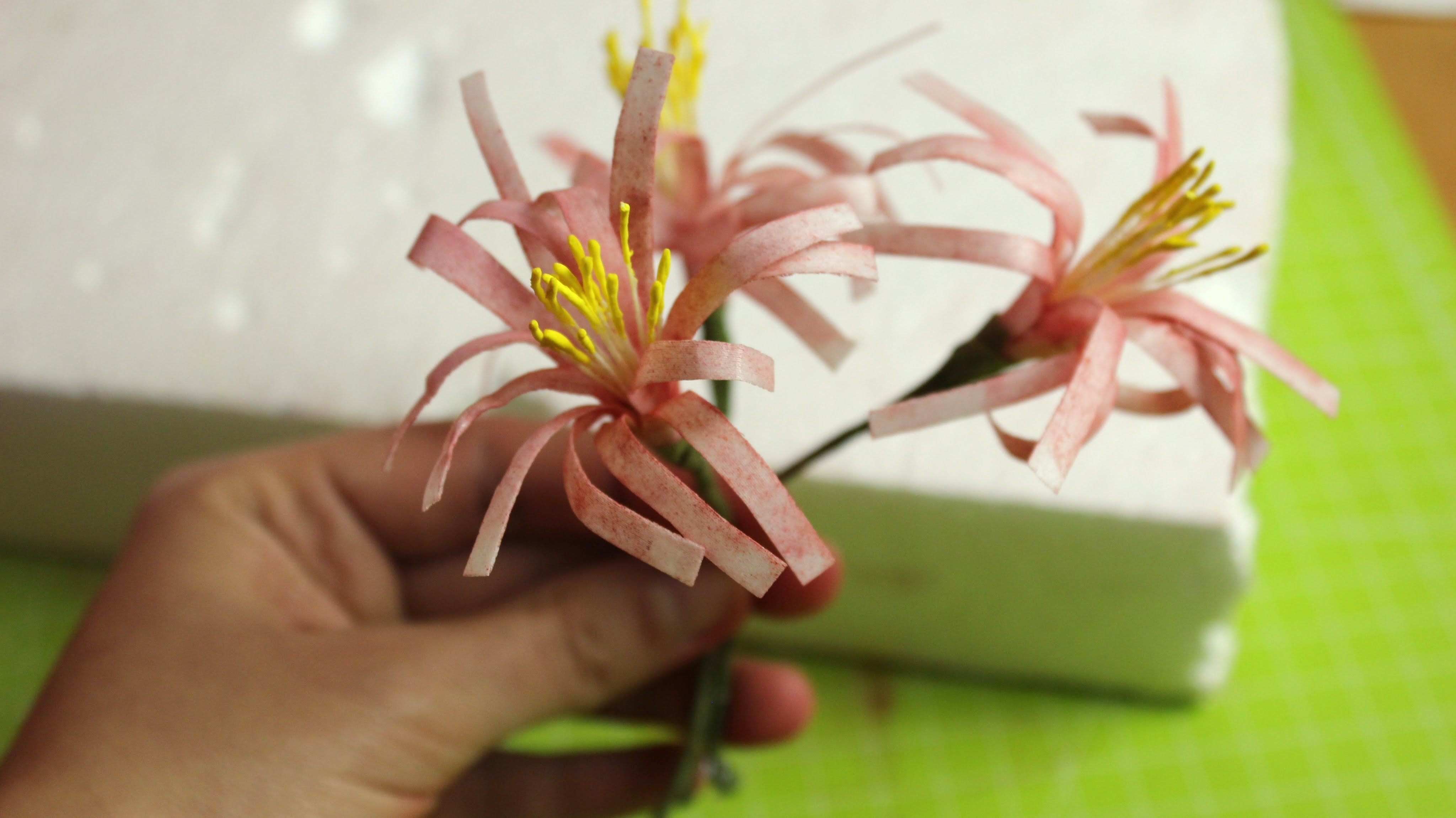 Einfache Blumen aus Esspapier.Reispapier. Wafer Paper Flowers. Tortendekoration