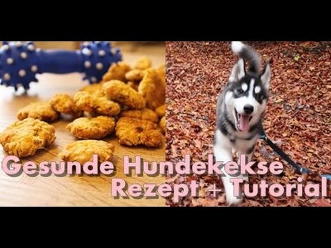DIY Gesunde und einfache Hundekekse für jeden Hund. Husky Kenji☆ I ellylicious ♡