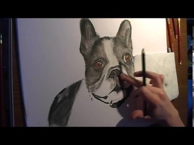 Drawing Französische Bulldogge Speedpainting Pastelfarben Tiere Zeichnen Bulli Hund DIY
