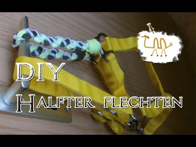 【DIY】 ~ Halfter flechten ~ Teil1 ~ 【Keltischer Knoten】