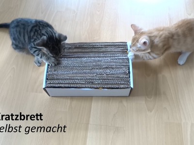 Selbst gemachtes Katzen Spielzeug - Kratzbrett - follow Salt&Pepper
