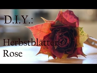 Herbstblätter-Rose ¦ D.I.Y.
