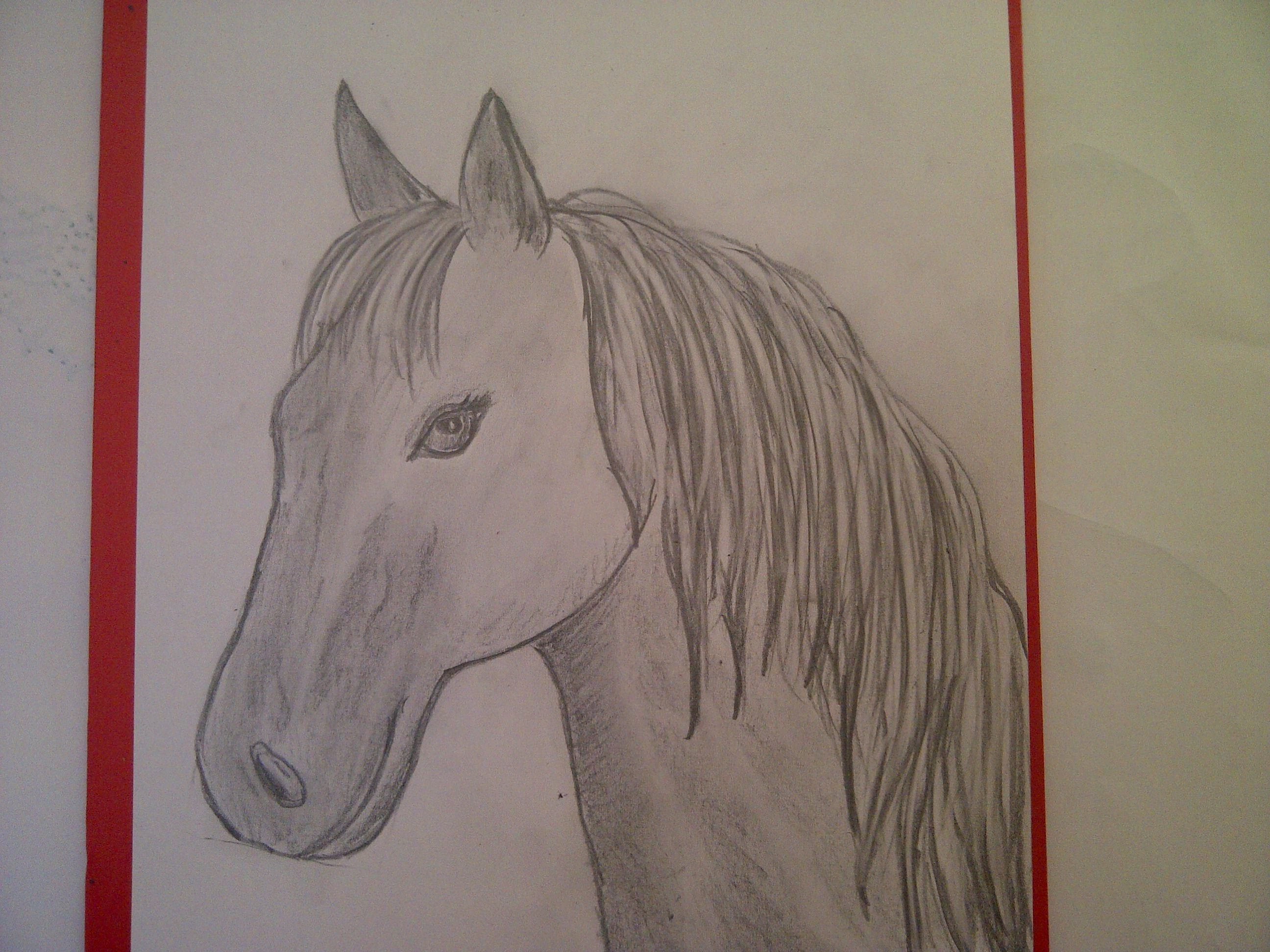 Zeichnen lernen für Anfänger. Pferd malen. Pferdeportrait. Pferdekopf.  Learn to draw a horse