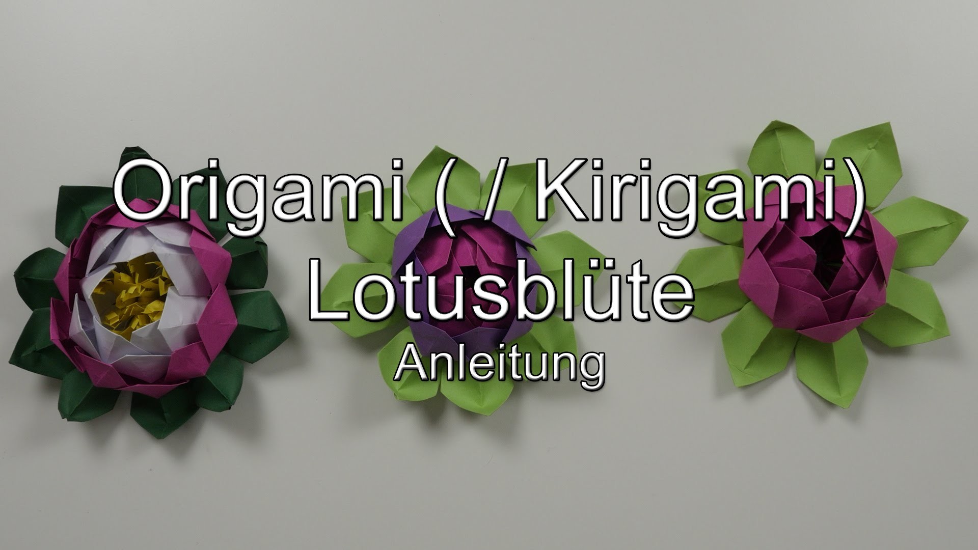 Anleitung: Origami (. Kirigami) Lotusblüte. -blüte
