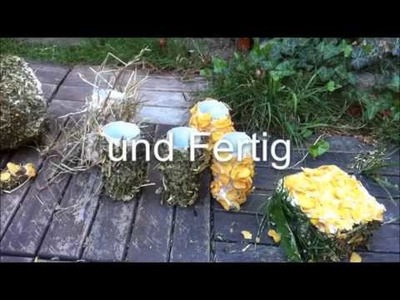 Nagerspielzeug DIY