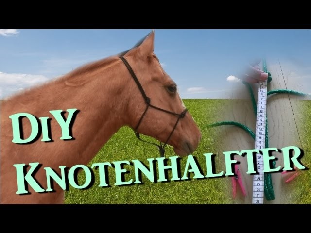 [DiY] Knotenhalfter ganz einfach selber machen - mit Diamantknoten - Tutorial | Serenity Horses