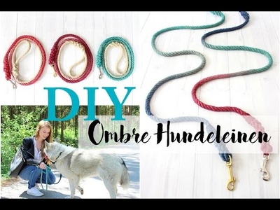 DIY Ombré Hundeleine