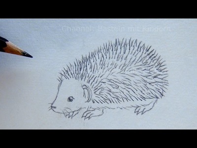 Zeichnen lernen: Igel zeichnen - Einfache Anleitung - Tiere mit Bleistift zeichnen - DIY
