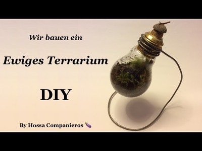 How to: Ewiges Terrarium DIY [Deutsch]