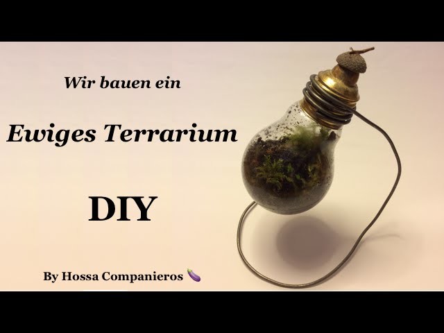 How to: Ewiges Terrarium DIY [Deutsch]