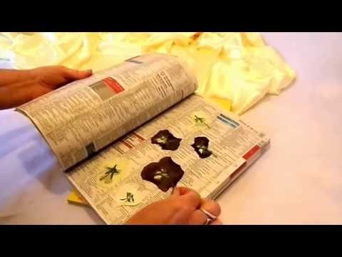 DIY: keka #Blumen pressen,BLÜTEN pressen,leicht gemacht.VORBEREITUNG Bastelidee