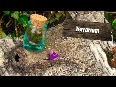 DIY Terrarium!