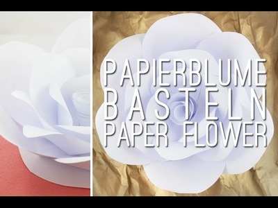 Papierblume basteln - paper flower - Bastelanleitung - Talu.de