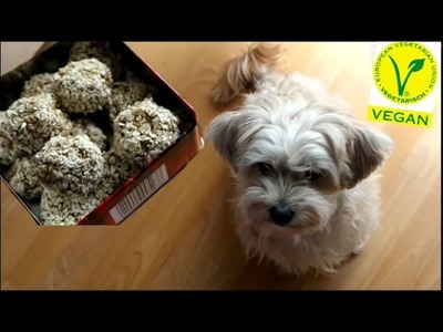 DIY Hunde Pralinen  
