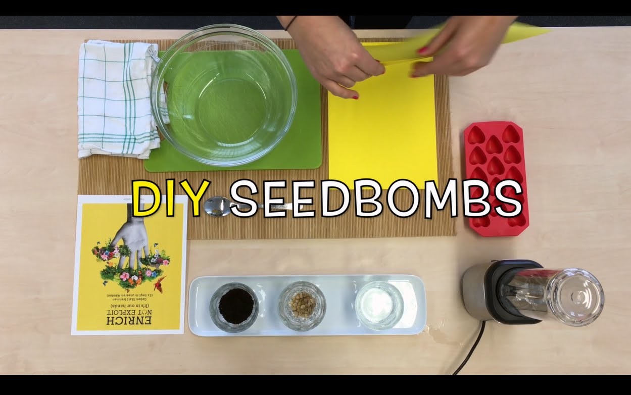 Seedbombs selber machen | DIY by The Body Shop®