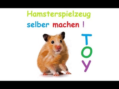 2 Hamsterspielzeuge selber basteln – DIY Hamsterspielzeug selbst machen