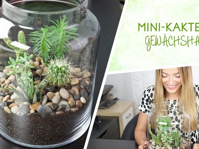 Mini-Kakteen Terrarium DIY