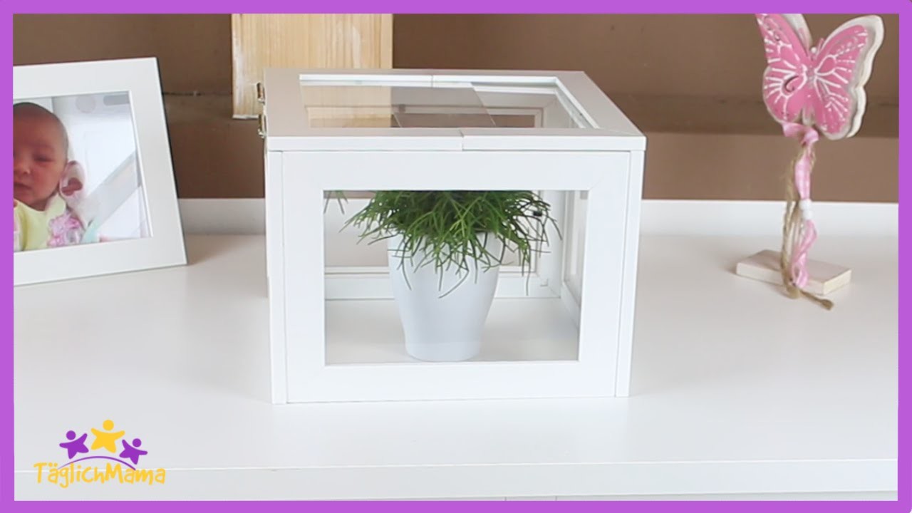 DIY Mini-Gewächshaus aus alten Bilderrahmen - UPCYCLING. Miniature Greenhouse. Täglich Mama