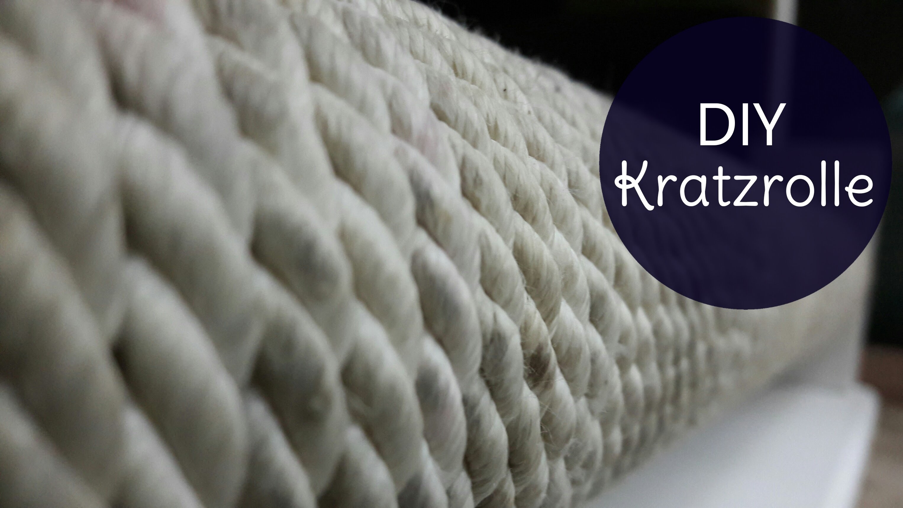 Kratzrolle | DIY | Unsere kleine Katze Charlie