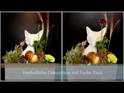 DIY Anleitung: Herbstdeko mit Fuchs Paco