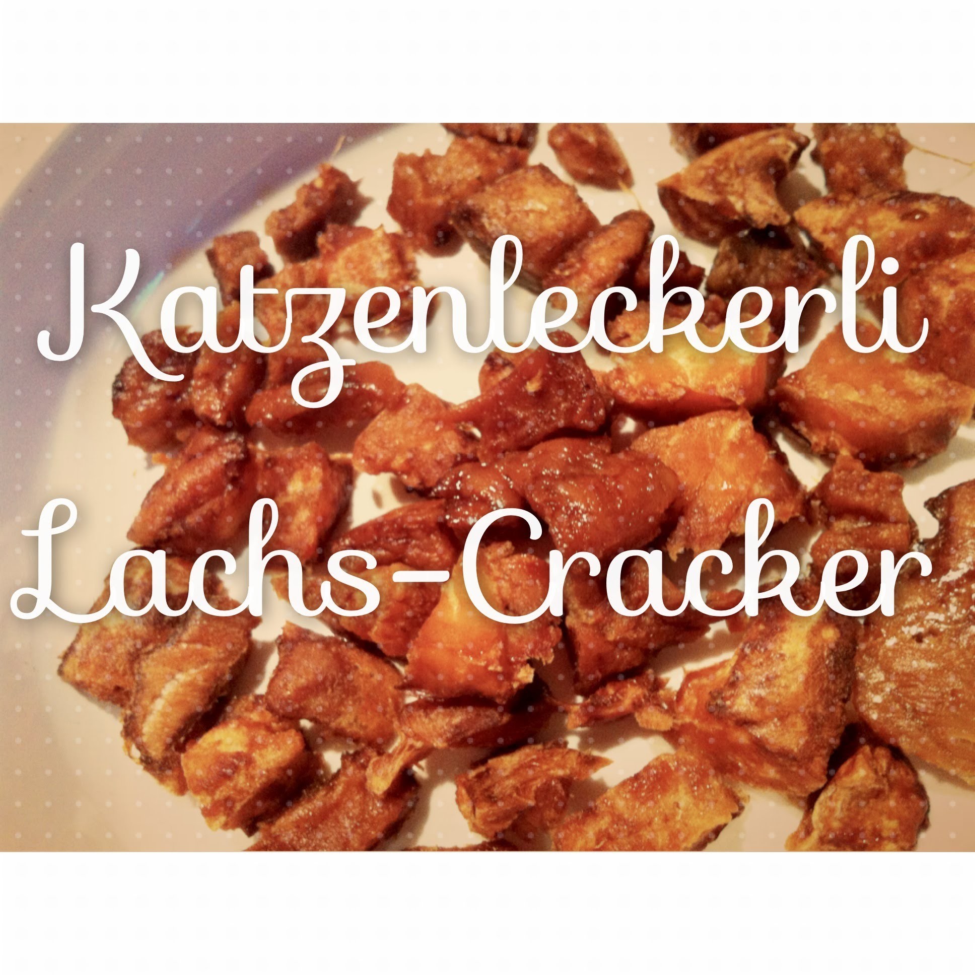 Gesunde Katzenleckerli Rezept: Lachs-Cracker
