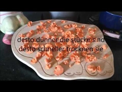 DIY-Karottenchips-Super einfach! Kaninchenleckerlis. 