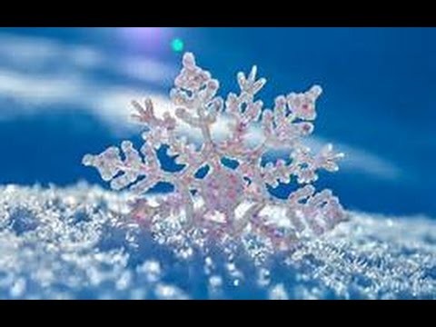 Weihnachts DIY + Verlosung❄️| Sammy bär