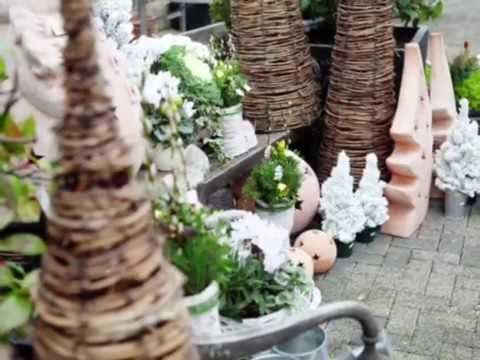 Advent bei Floristik Odenthal