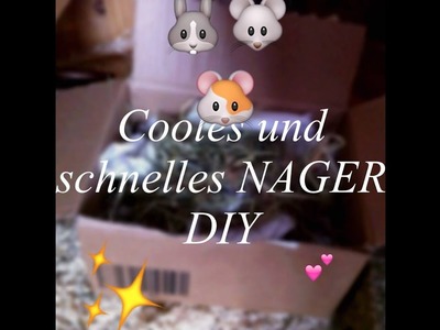 [DIY] Cooles NAGER DIY ❤️ Für alle Nager| Lucys Tierwelt