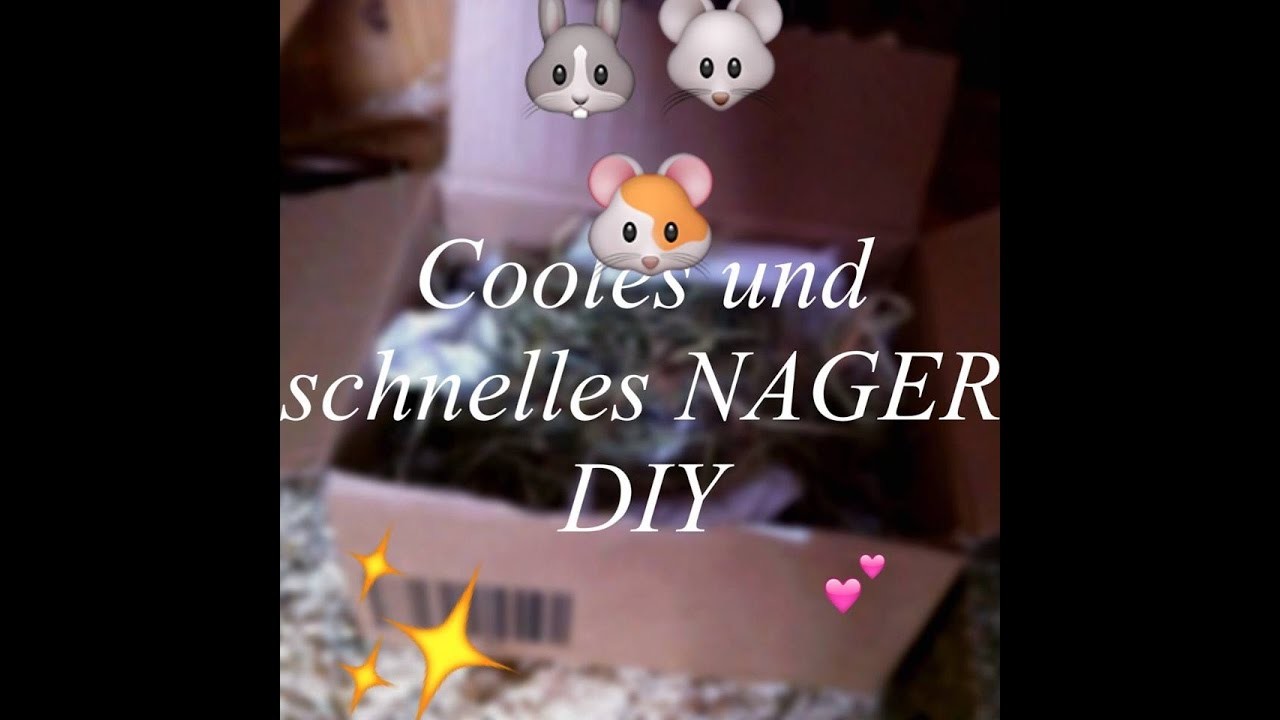 [DIY] Cooles NAGER DIY ❤️ Für alle Nager| Lucys Tierwelt