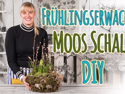 Frühlingserwachen - Moos Schale DIY