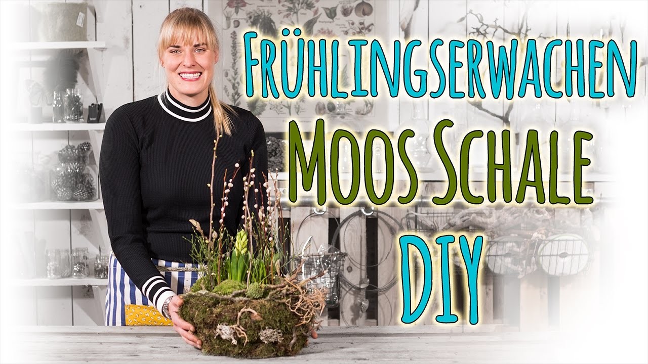 Frühlingserwachen - Moos Schale DIY