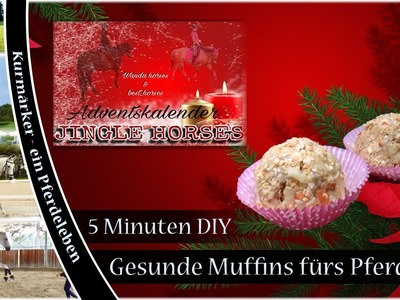[5 Minuten DIY] Gesunde Muffins für dein Pferd! ♥