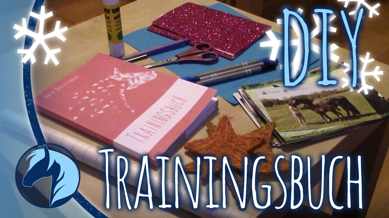 ❄ DIY - Ein Trainingsbuch für Feli ❄