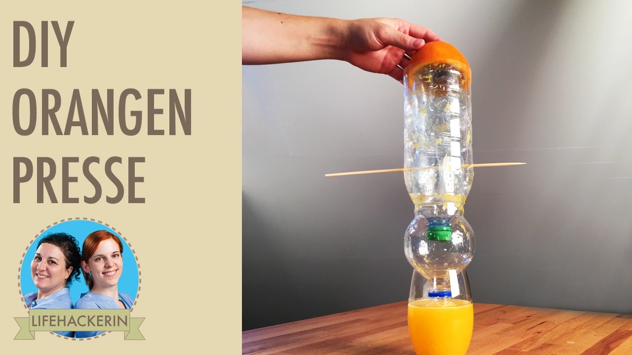 Orangen frisch pressen - mit Plastikflaschen I DIY-Zitruspresse I Upcycling