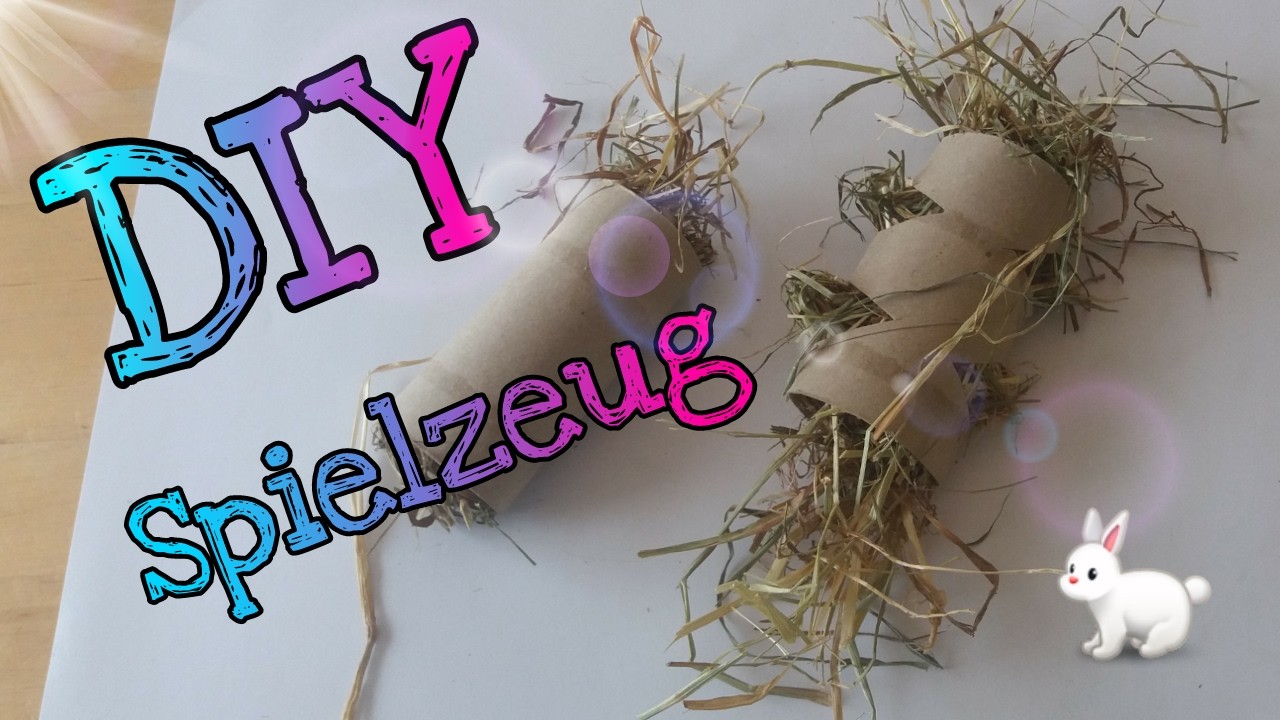 DIY Kaninchenspielzeug - Beschäftigungsideen für deine Kaninchen!. Kaninchenstar
