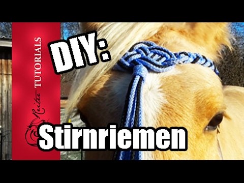 DIY: Celtic Stirnriemen aus PP-Seil selber machen! Keltischer Knoten . Reitertutorials
