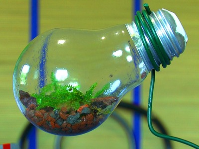 Ewiges Terrarium
