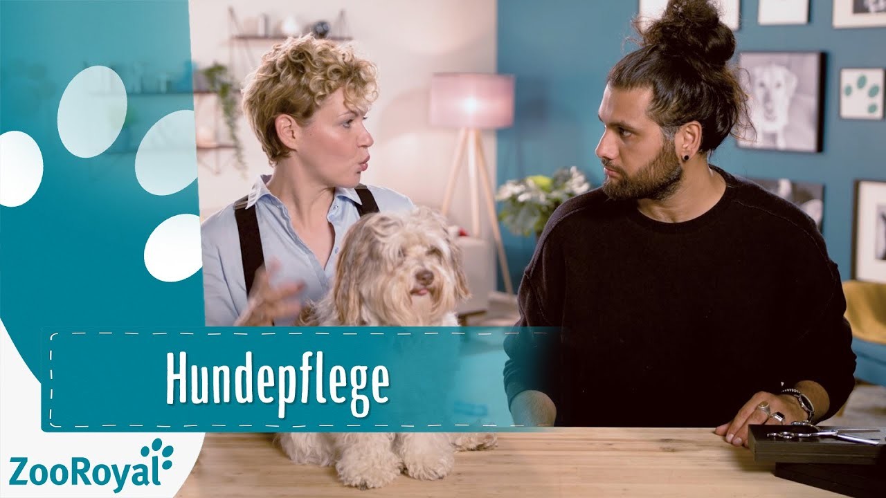 Hundepflege | Rund um den Hund mit Masih Samin | ZooRoyal